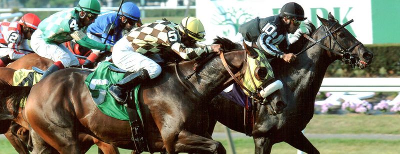 ALE Wins at Belmont Park on September 11, 2013