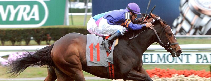 May Shares Wins at Belmont Park on September 27, 2013