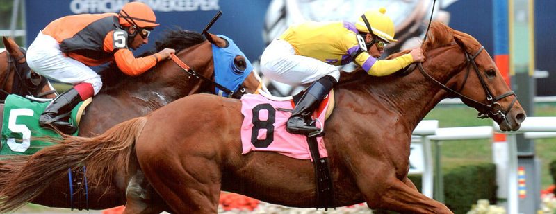Alarmed NDangerous Wins at Belmont Park on October 11, 2013