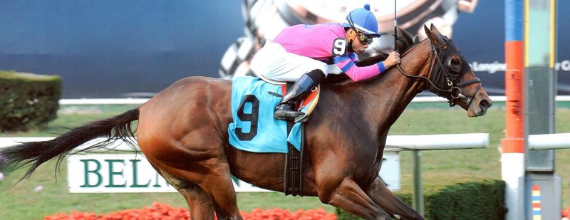 Ballerina Belle Wins at Belmont Park on October 4, 2013