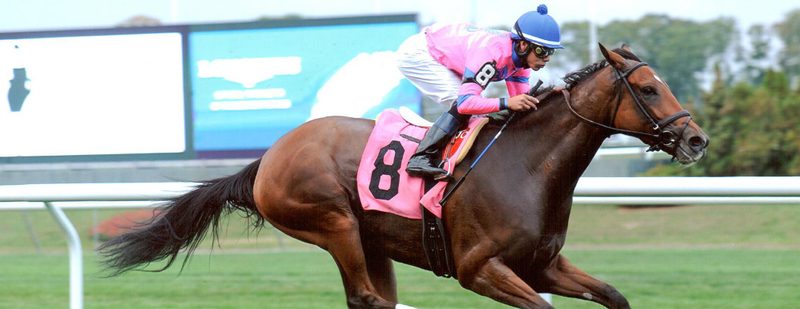 Justoneatheguys Wins at Belmont Park on October 4, 2013