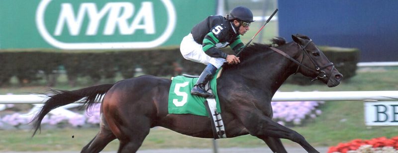 Make A Decision Wins at Belmont Park on October 5, 2013
