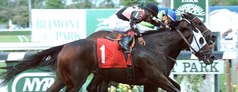 Trailer Walker Wins at Belmont Park on October 9, 2013