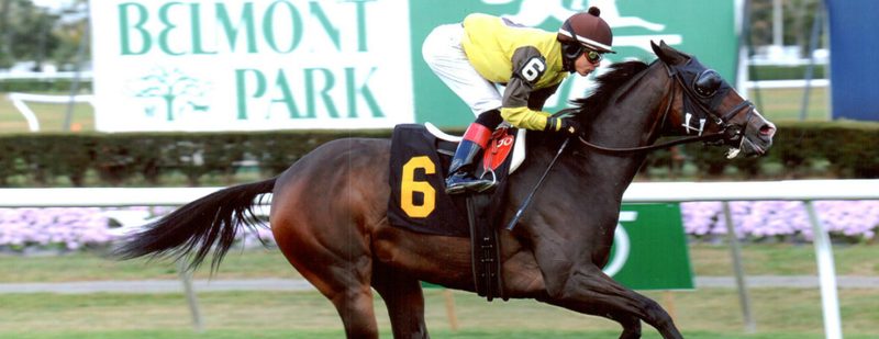 Hidden Music Wins at Belmont Park on October 25, 2013
