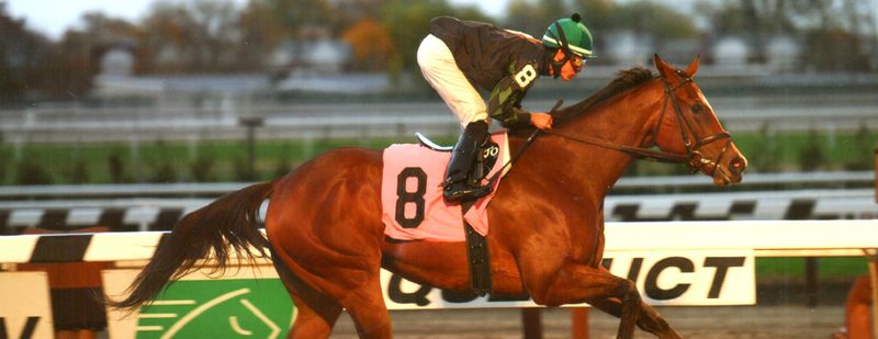 La Verdad Wins at Aqueduct on November 7, 2013