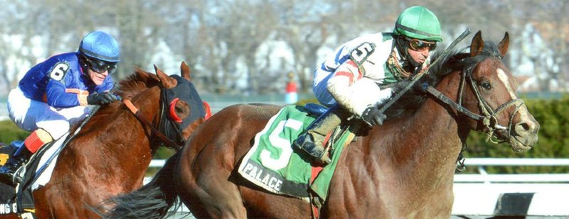 Palace Wins The Fall Highweight Handicap on 11/28/13