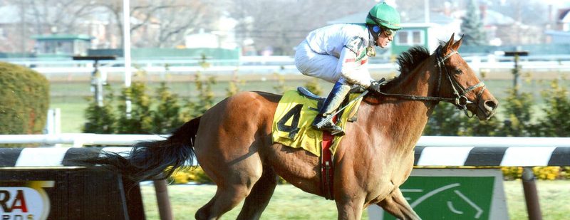 Bounty Pink Wins at Aqueduct on December 19, 2013