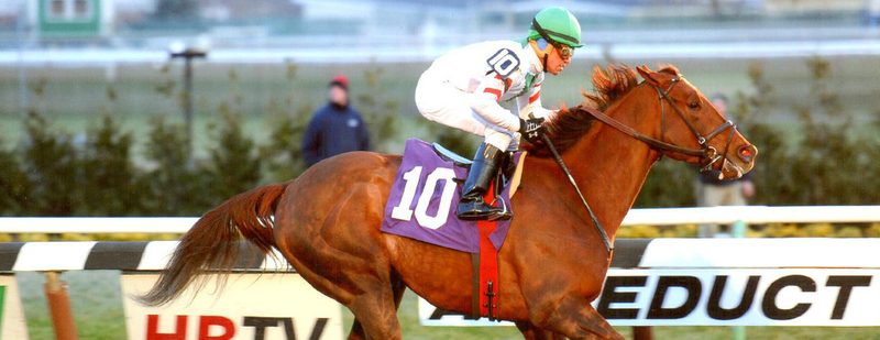 Dapper Draper Wins at Aqueduct on December 19, 2013