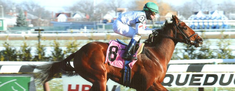 Shore Runner Wins at Aqueduct on December 13, 2013
