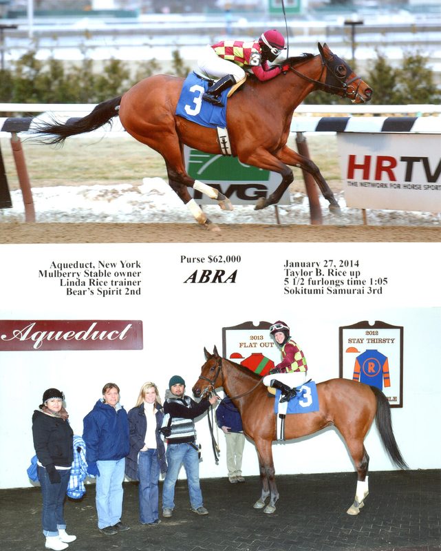 Abra — 1/27/14