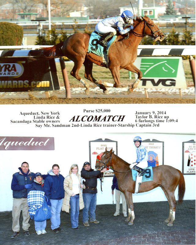 Alcomatch — 1/9/14
