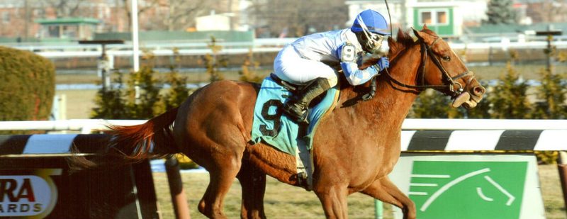 Alcomatch Wins at Aqueduct on January 9, 2014