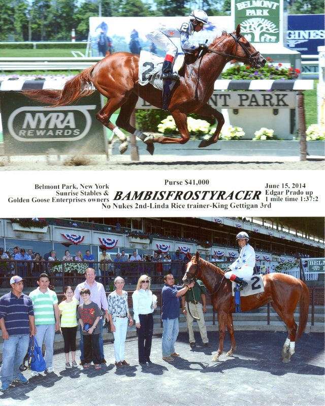 Bambisfrostyracer — 6/15/14