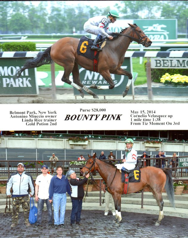 Bounty Pink — 5/15/14
