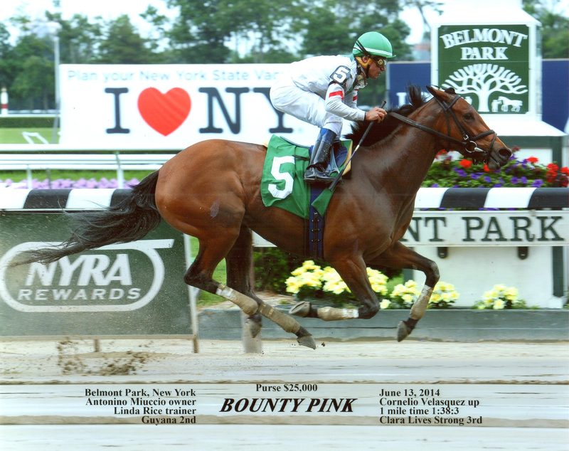 Bounty Pink — 6/13/14