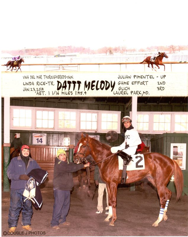 Dattt Melody — 1/23/14