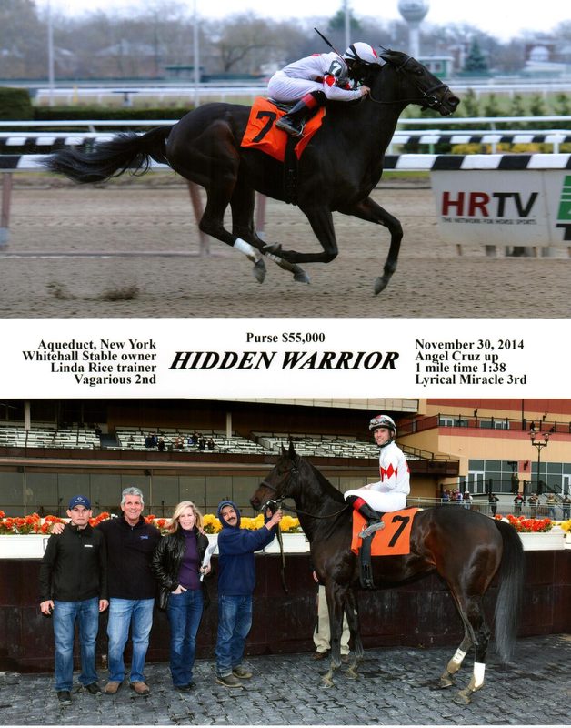 Hidden Warrior — 11/30/14