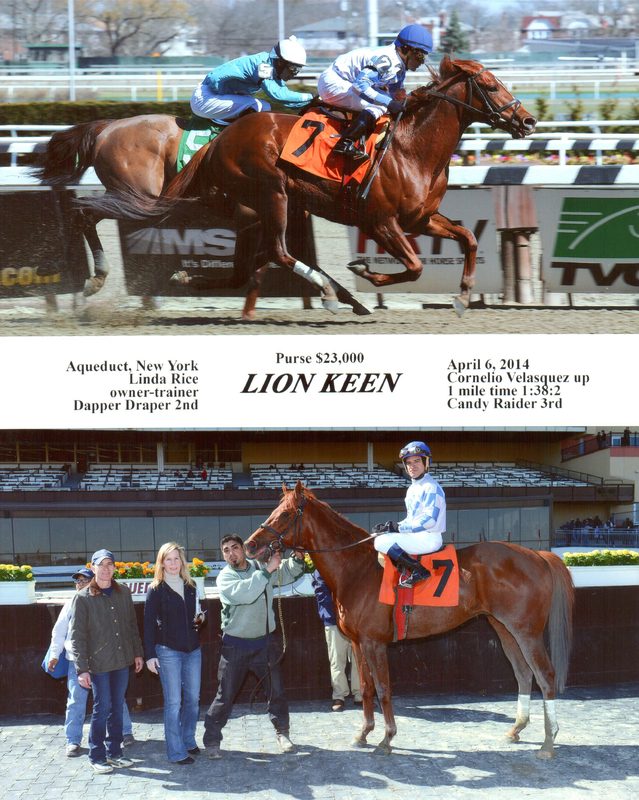 Lion Keen — 4/6/14