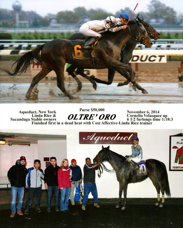 Oltre Oro — 11/6/14