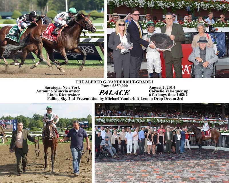 Palace — 8/2/14