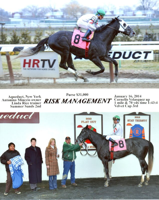 Risk Management — 1/16/14