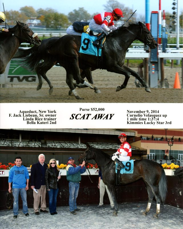 Scat Away — 11/9/14