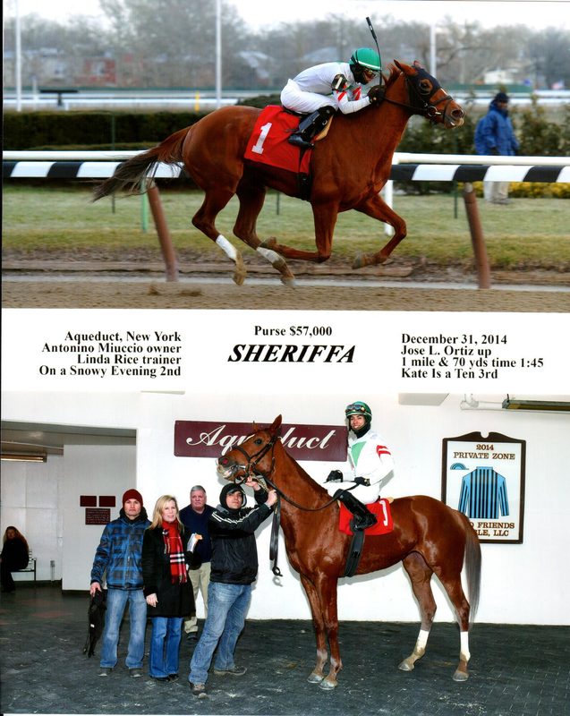 Sheriffa — 1/31/14