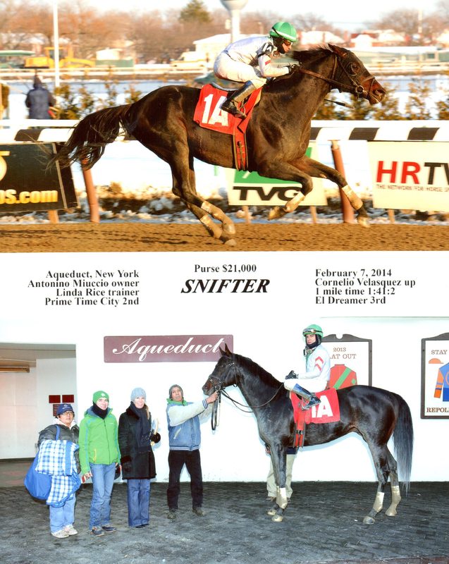 Snifter — 2/7/14