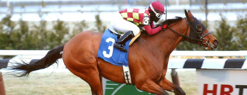 Abra Wins at Aqueduct on January 27, 2014