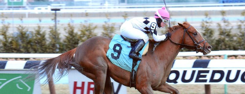 Jazzminegem Wins at Aqueduct on March 20, 2014