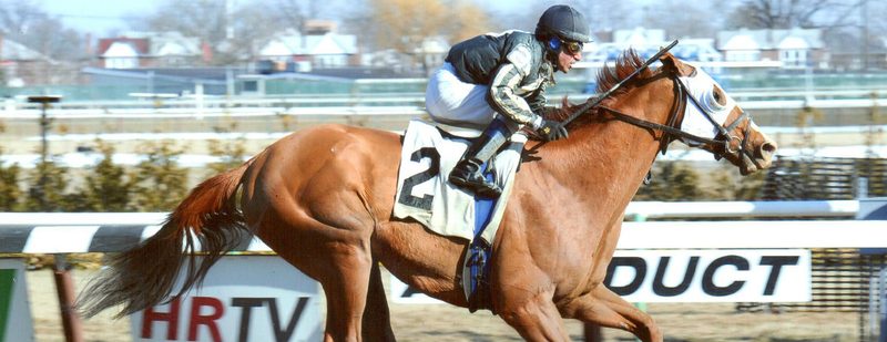Quick Money Wins at Aqueduct on March 8, 2014