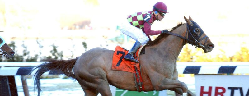 Won Great Classic Wins at Aqueduct on February 22, 2014