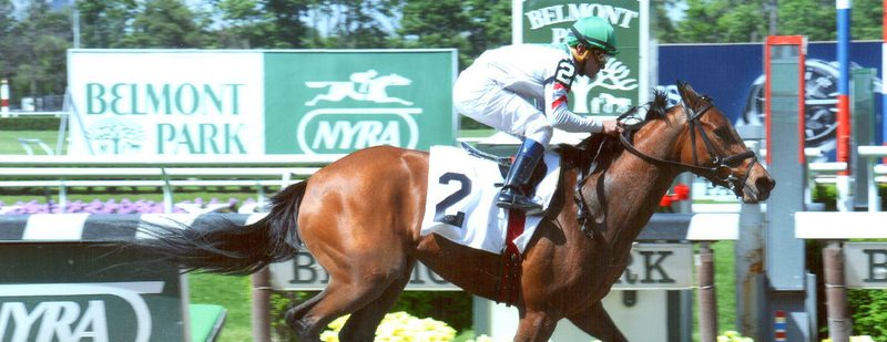 Bounty Pink Wins at Belmont Park on May 29, 2014