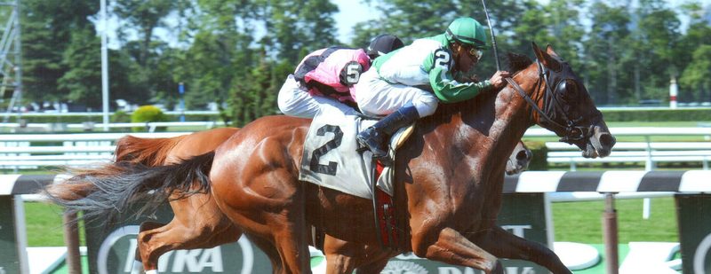 Four Directions Wins at Belmont Park on June 22, 2014