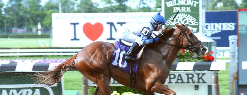 Mighty Zealous Wins at Belmont Park on June 8, 2014