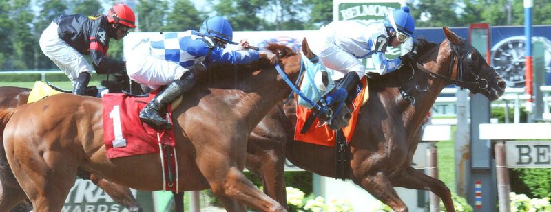 Pretension Wins at Belmont Park on June 14, 2014