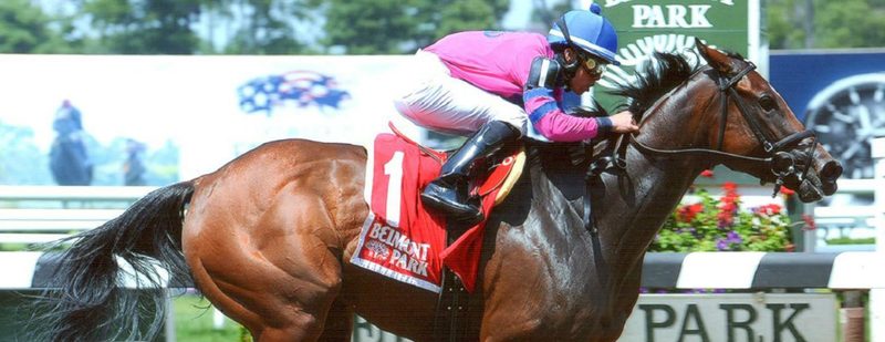 La Verdad Wins at Belmont Park on July 3, 2014