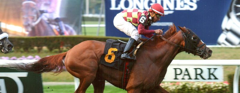 Bigger Picture Wins at Belmont Park on September 21, 2014