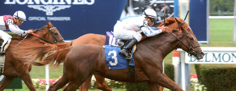 Joshans Giant Wins at Belmont Park on October 1, 2014