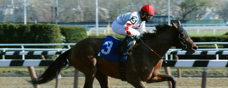 Mischievously Wins at Aqueduct on November 21, 2014