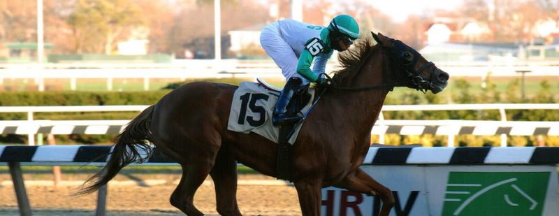 Touching My Toes Wins at Aqueduct on November 21, 2014