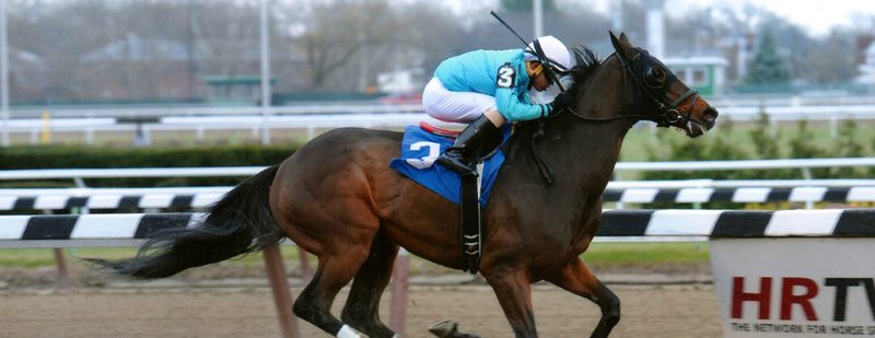 North Ocean Wins at Aqueduct on November 30, 2014