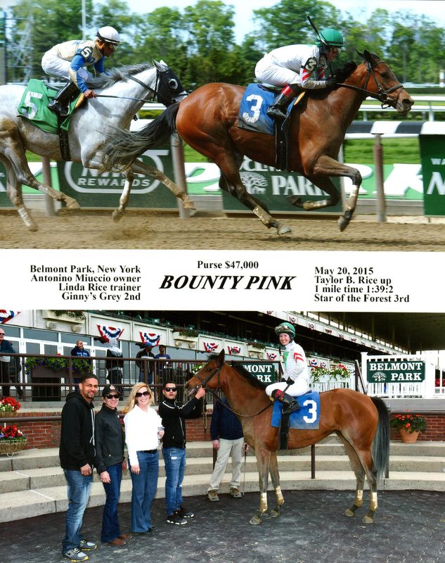 Bounty Pink — 5/20/15