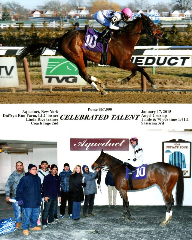 Celebrated Talent — 1/17/15