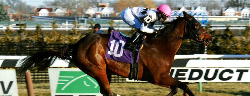 Celebrated Talent Wins at Aqueduct on January 17, 2015