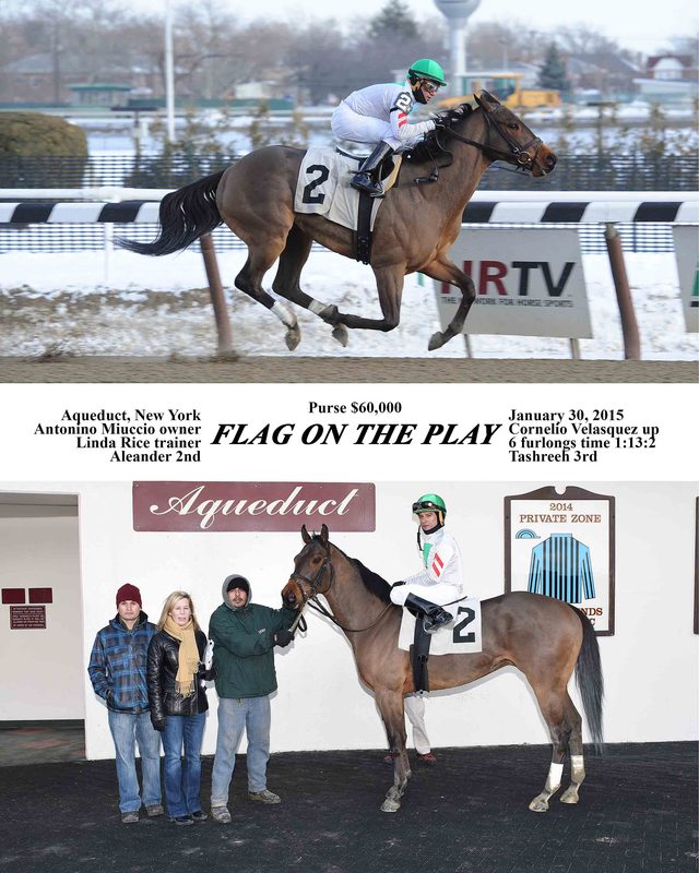 Flag On The Play — 1/30/15