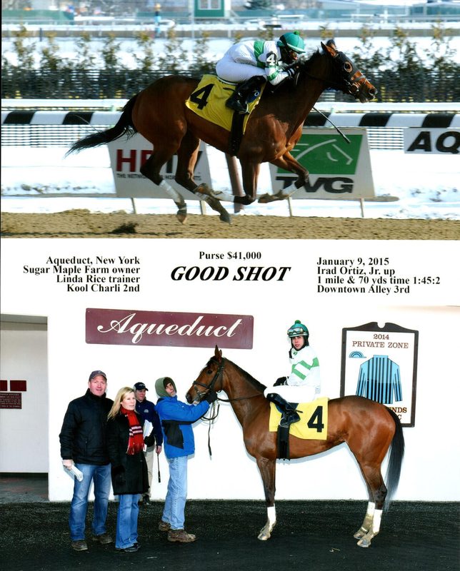 Good Shot — 1/9/15