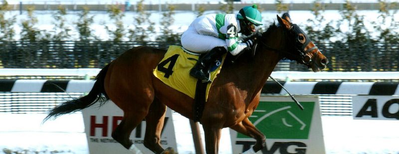 Good Shot Wins at Aqueduct on January 9, 2015
