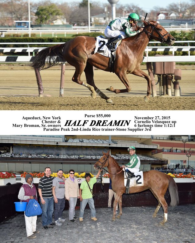 Half Dreamin — 11/27/15