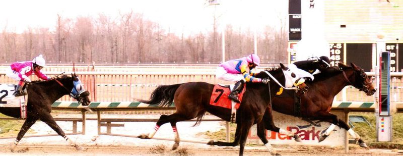 Jigsaw Wins at Laurel Park on January 15, 2015